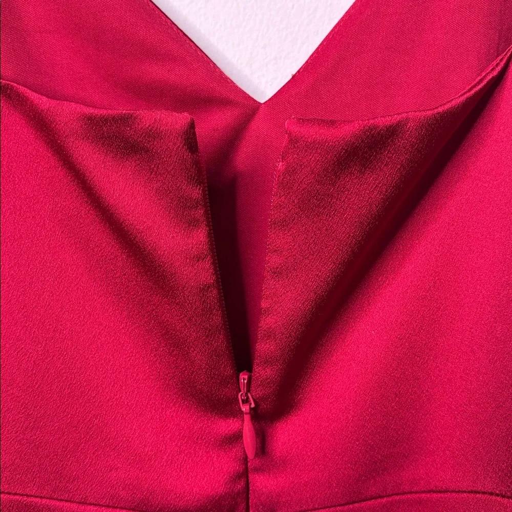 Express Red Dress - Picture 5 of 10